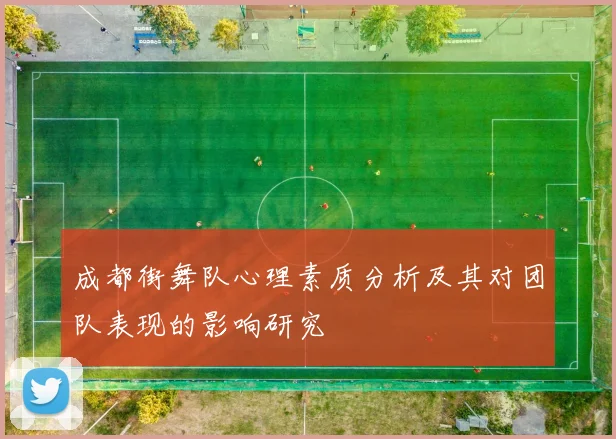 成都街舞队心理素质分析及其对团队表现的影响研究