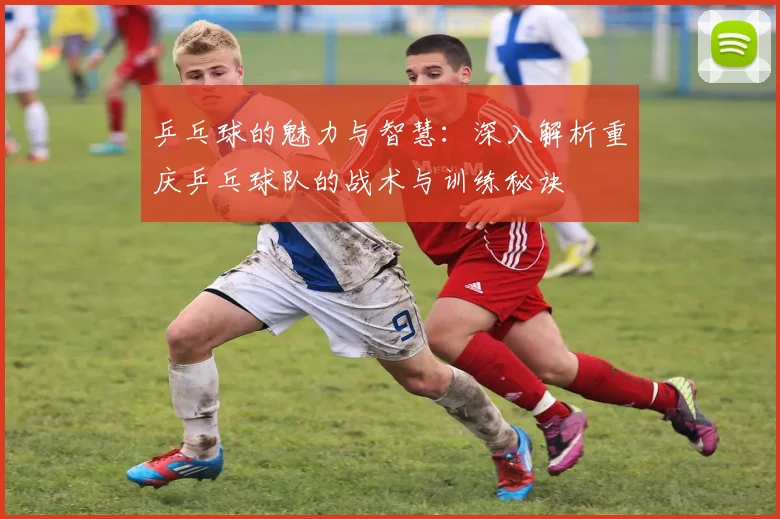 乒乓球的魅力与智慧：深入解析重庆乒乓球队的战术与训练秘诀