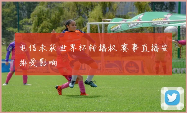 电信未获世界杯转播权 赛事直播安排受影响